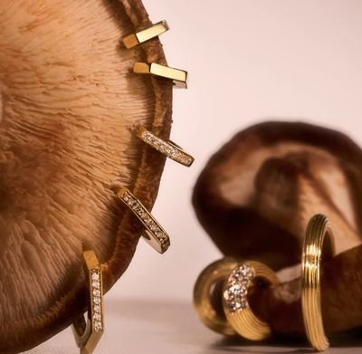 Projebir Nut 14k gold earrings with and without diamonds